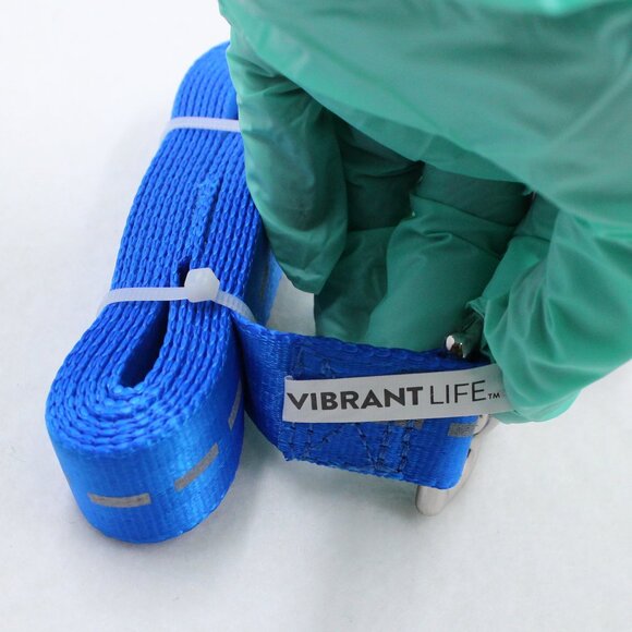 Vibrant Life NWOT Reflective Blue Large 6 Foot Long 1 Inch Wide Dog Leash - Picture 1 of 4